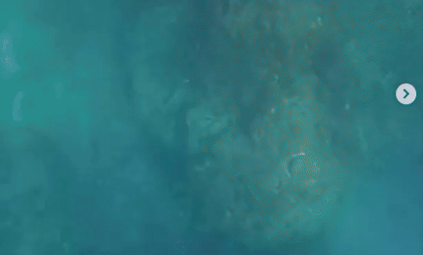 Tubarão ataca e arrasta mulher para o fundo do mar; assista